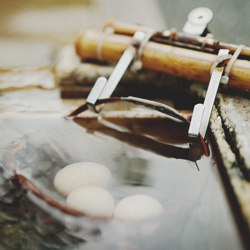 Onsen Tamago Making Experience