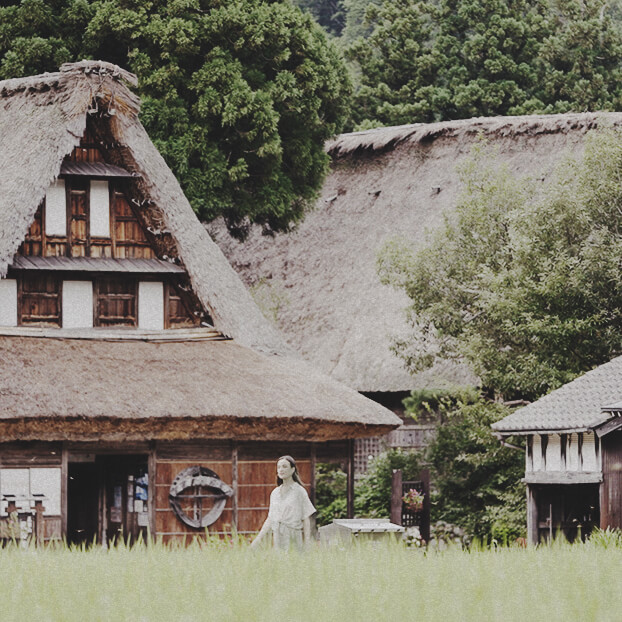 The Historic Village of Gokayama