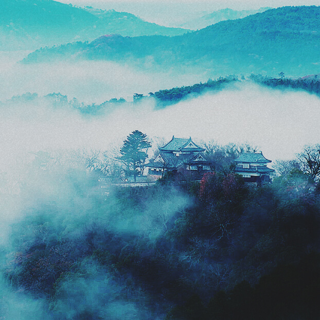 Bitchu Matsuyama Castle